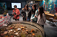 Standing Over Round Tank