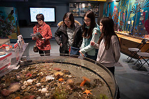 Standing Over Round Tank