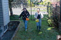Running For More Eggs