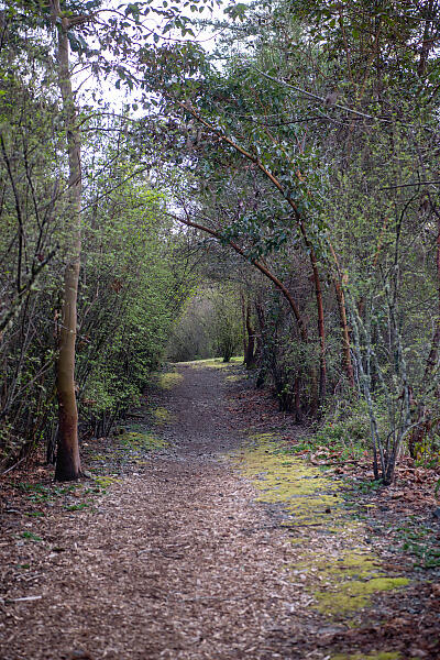 mainimage