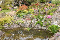 Two Pools With Reflection