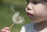 Claira With Dandelion Seeds Coming Loose