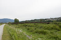 Bridge Over Coquitlam River