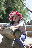 Nara Climbing On Logs