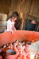 Claira With Chicken Brooder