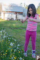 Nara With Dandelions