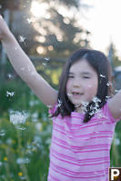 Nara With Threw Handful Of Dandelions