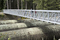 Bridge Over Old Penstocks