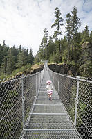 Suspension Bridge At Elk Falls