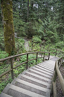 Stairs To Boardwalk