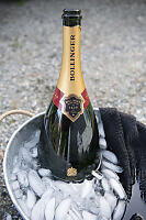 Bottle In Ice
