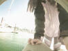 Previous