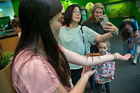 Spikey Bug On Clairas Arm