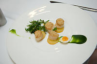 Scallops With Small Egg