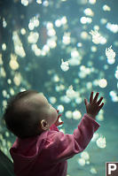 Claira Looking Up At Jelly Fish