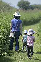 Walking In The Overgrown Grass