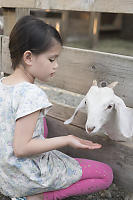 Claira Feeding Goat