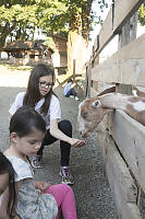 Haley Feeding Goat