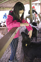 Claira Has Made Sheep Friend