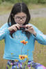 Nara Shooting Brown Eyed Susans