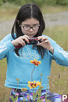 Nara Shooting Brown Eyed Susans