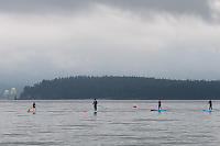 Paddle Boarding Past Stanley Park