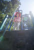 Nara At The Top Of The Climbing Wall