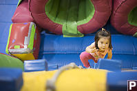 Nara Climbing The Climbing Wall