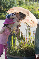 Nara Showing Jenie Carniverous Plants