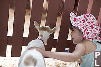 Claira Happy With Goat