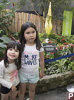 Kids With Titan Arum