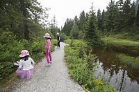 Trail Beside Wetlands