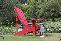 Climbing On Giant Chair