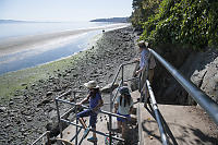 Staircase At Timber Place Beach Access