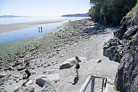 Low Tide In Cordova Bay