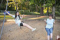 On The Swings