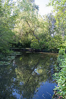 Reflection In Pond