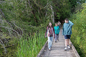 Bridge Over Small Pond