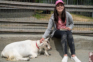 Claira Wants Pet Goat