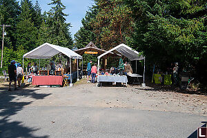 Market On Saturna
