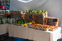 Locally Grown Fruit