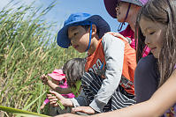 Julian Dipping For Frogs