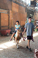 Nara Led On Pony