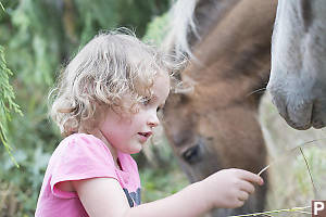 Kaylee Feeding Pony Grass