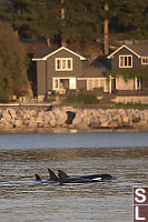 Tight Packed Family In Front Of Home