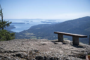 Bench With View