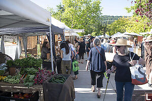 Busy Saturday Market
