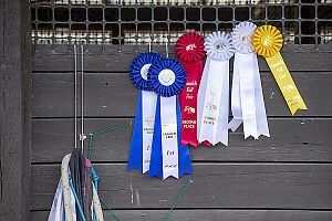 Collection Of Ribbons