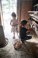 Eggs Go In Basket