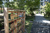 Ema Hung At Shrine